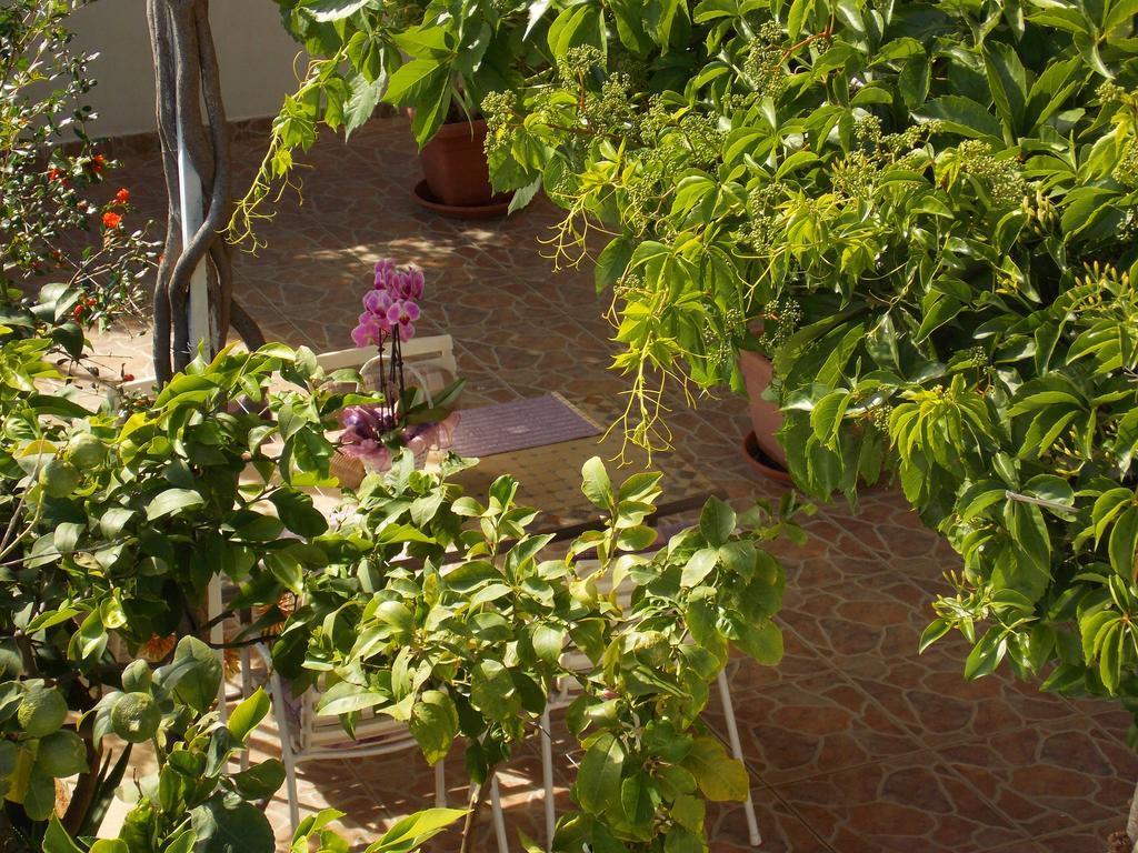 Apartmani Niki Hvar Hvar Town Exterior photo
